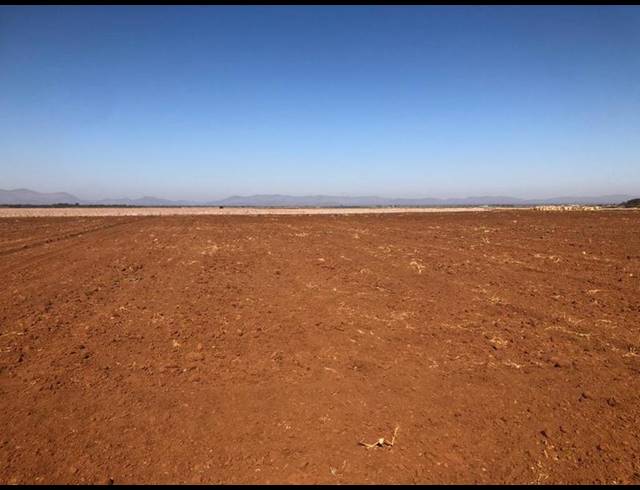 FARM FOR SALE IN THABAZIMBI